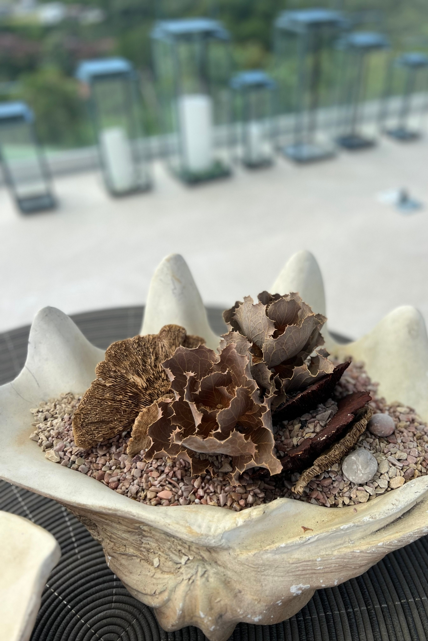 Concha grande de cerámica con hongos secos y piedrecillas sobre una mesa de terraza