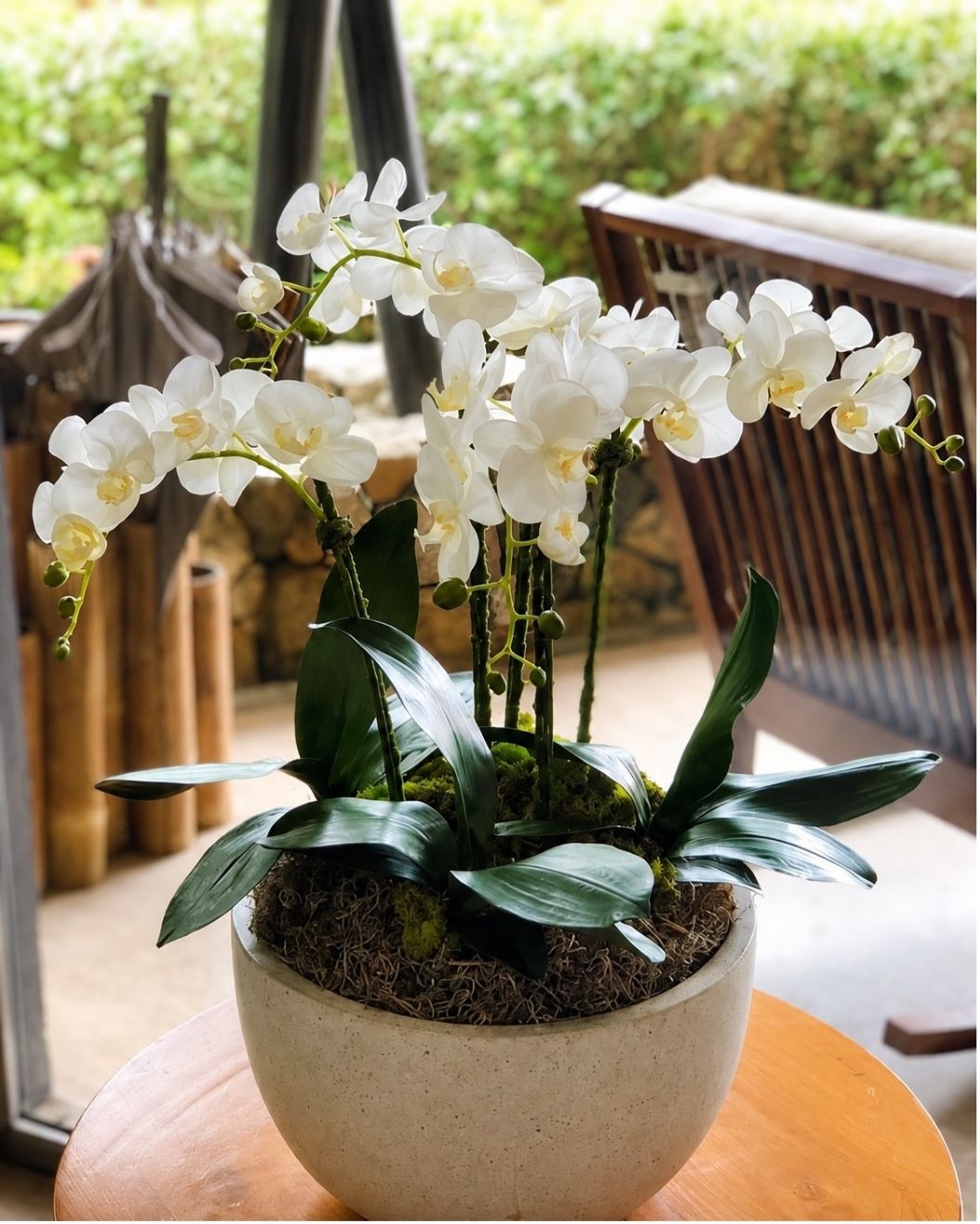 Orquídeas blancas en un cuenco de concreto sobre una mesa de madera en una terraza