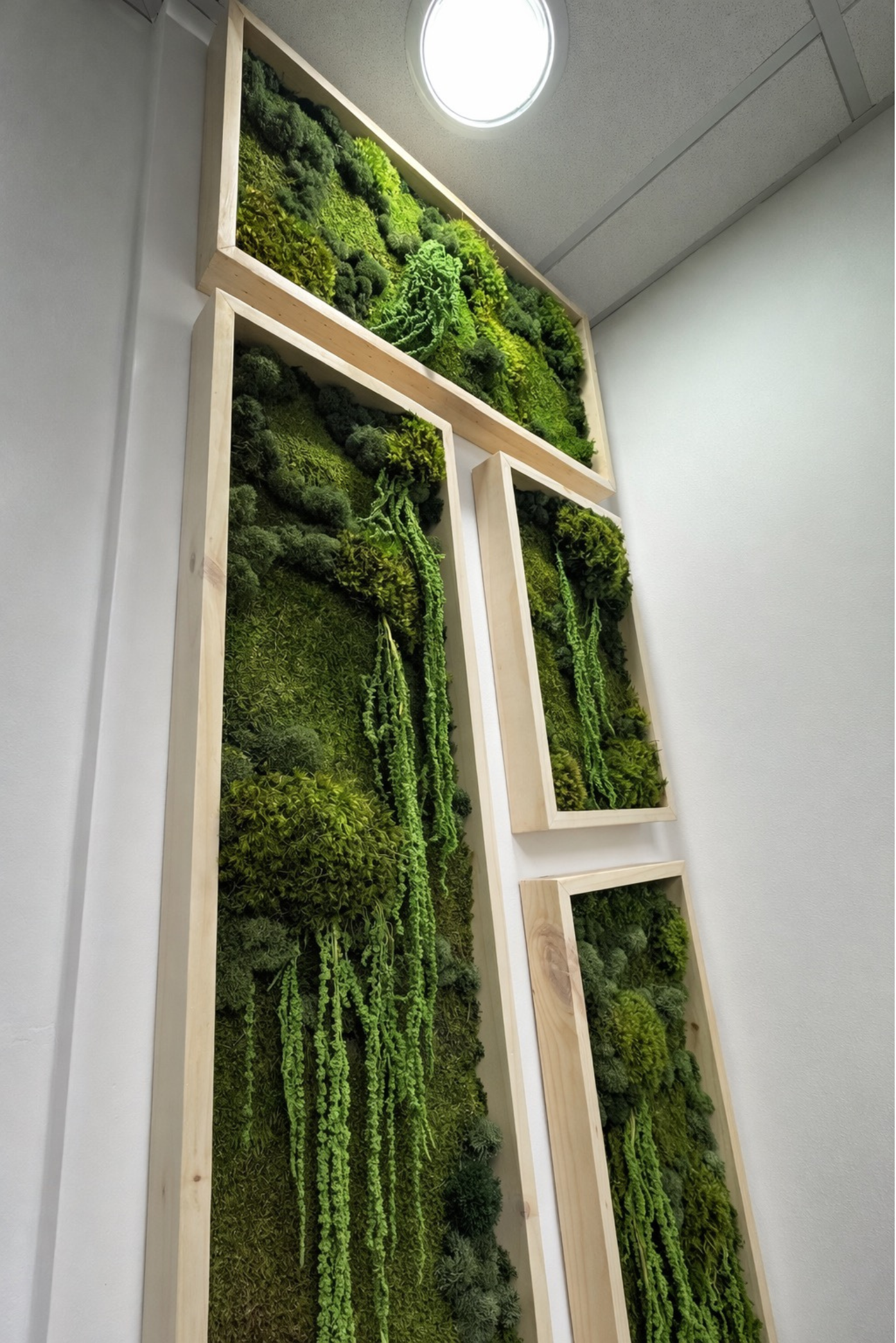 Paneles de musgo con marcos de madera clara y plantas colgantes en una pared de doble altura