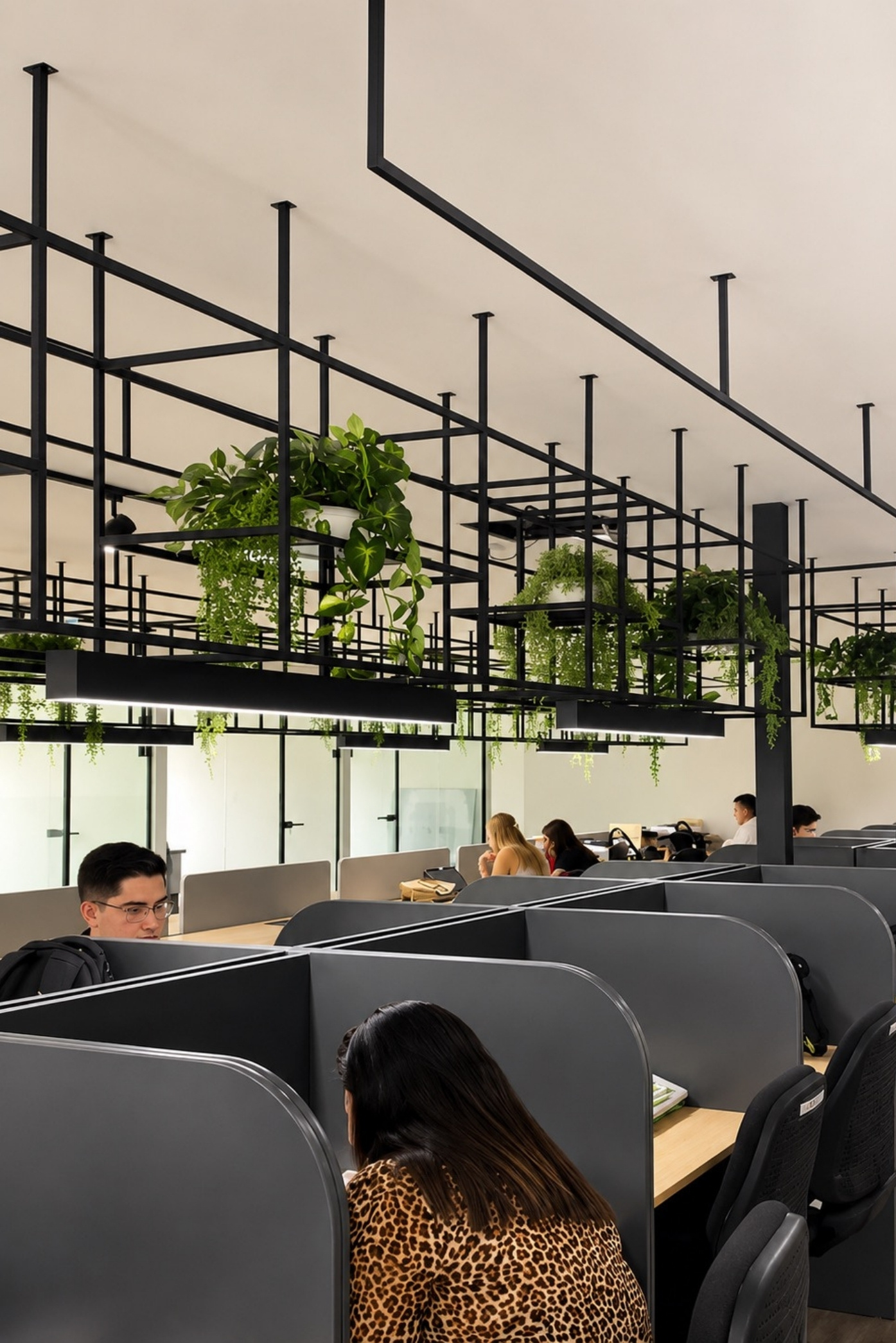 Estructura metálica negra suspendida con plantas colgantes sobre una sala de escritorios