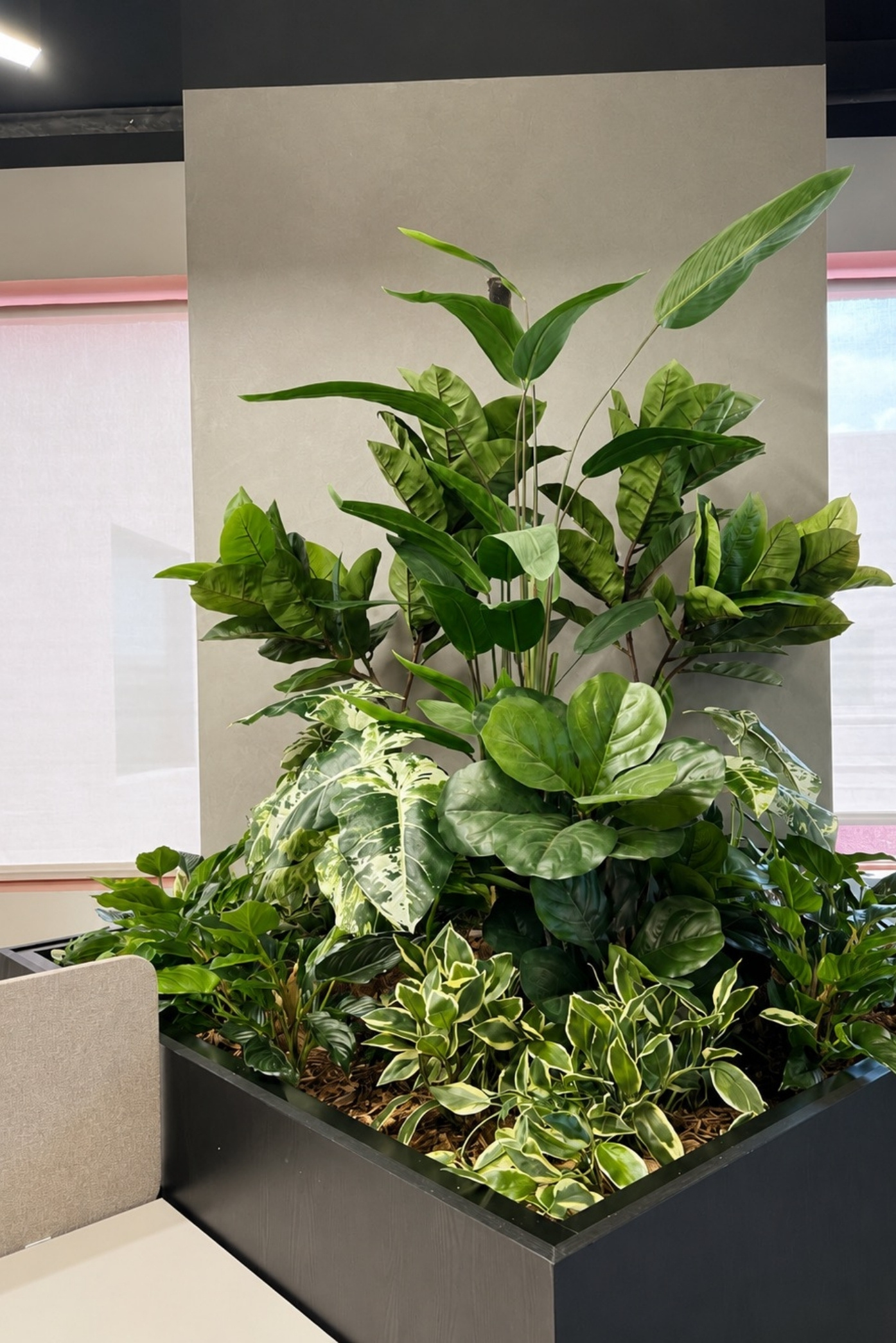 Jardinera negra con follajes variegados y hojas grandes junto a una columna