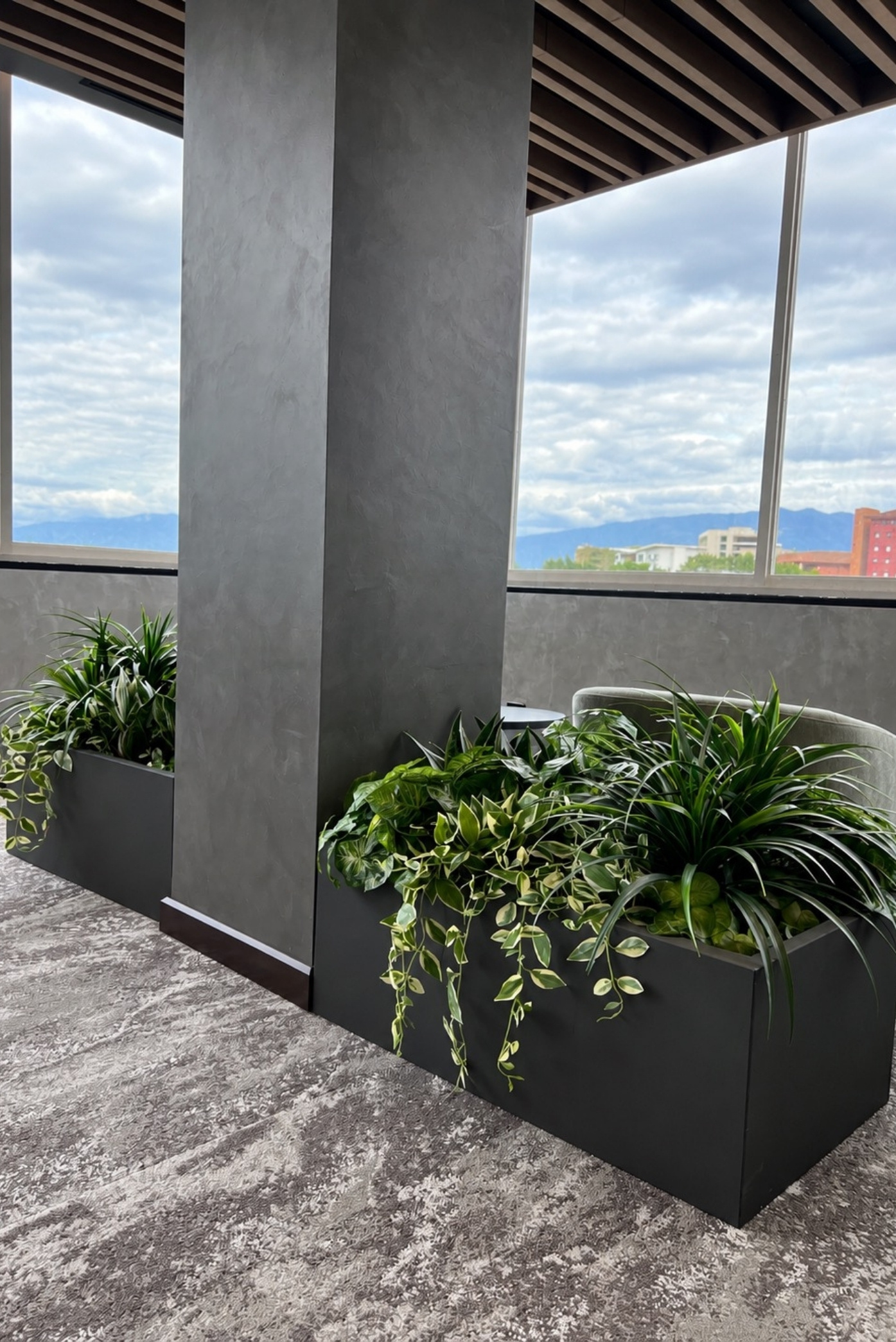 Jardineras negras con follajes y plantas colgantes junto a ventanales con vista a las montañas