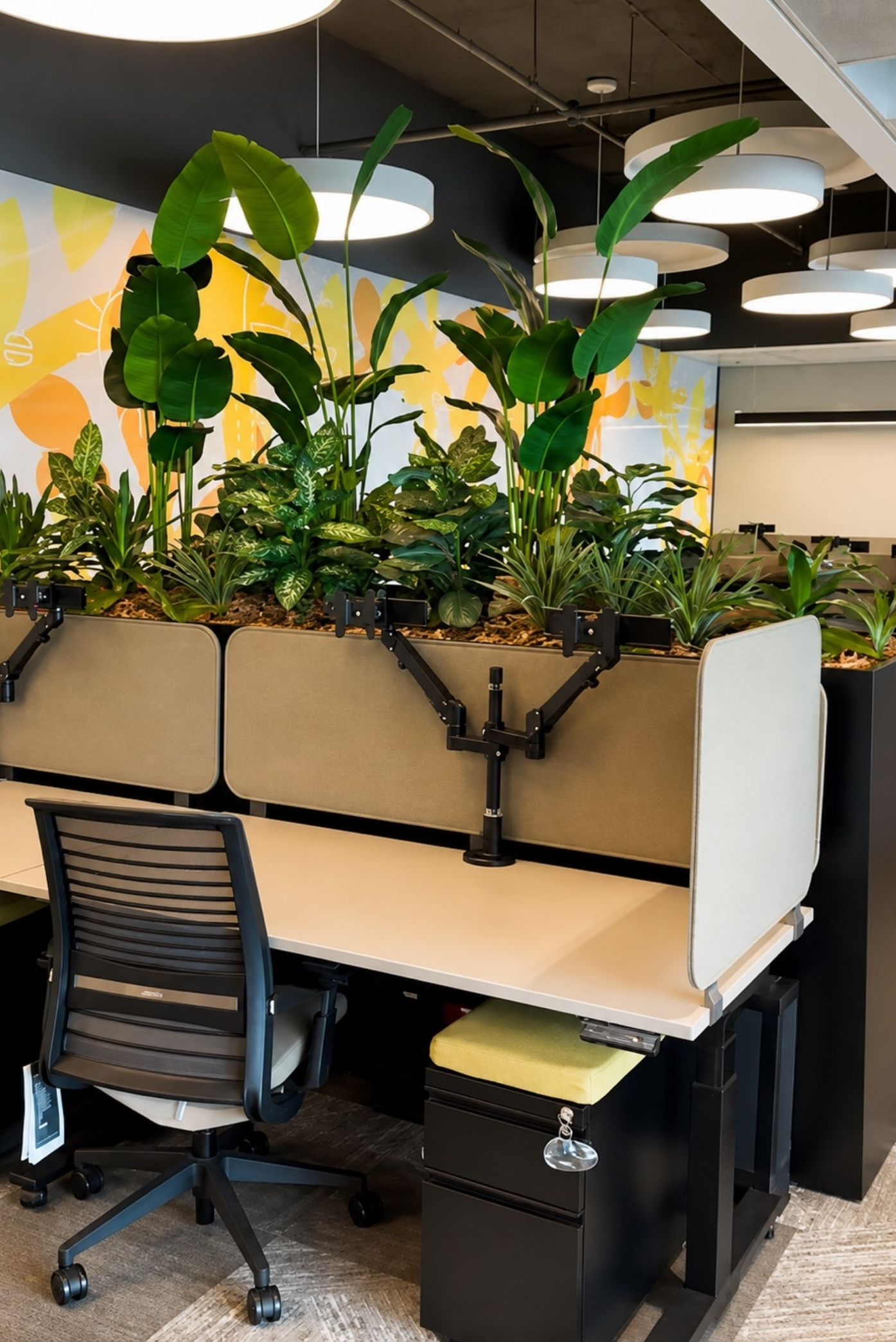 Jardinera con aves del paraíso y follajes tropicales sobre los escritorios de una oficina abierta