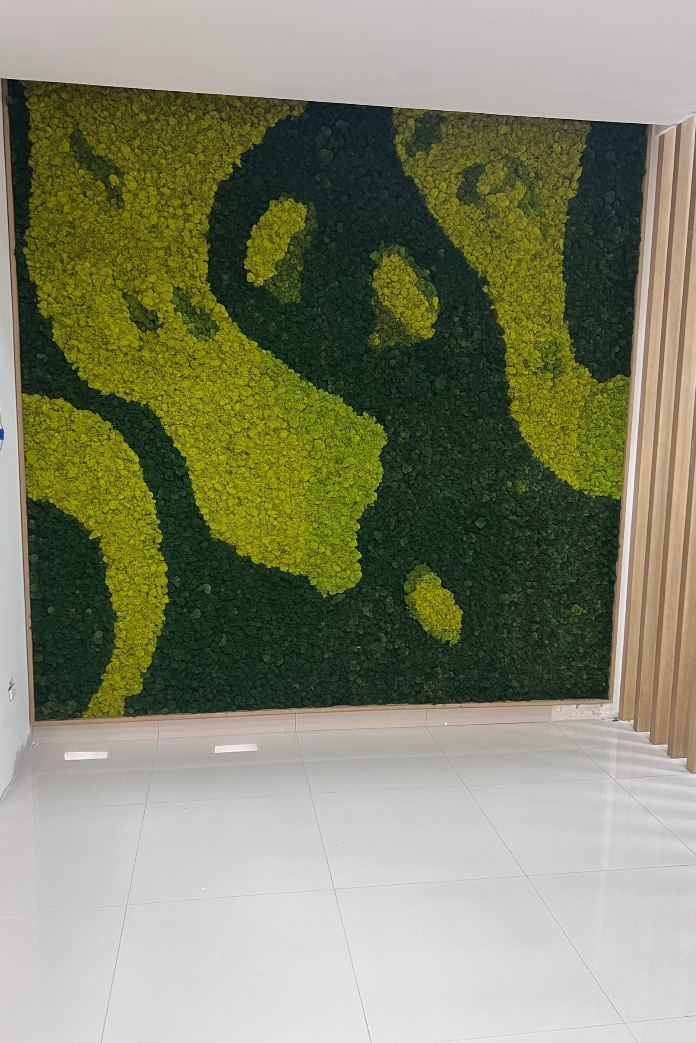 Muro de musgo preservado con formas orgánicas en dos tonos de verde, del piso al cielo