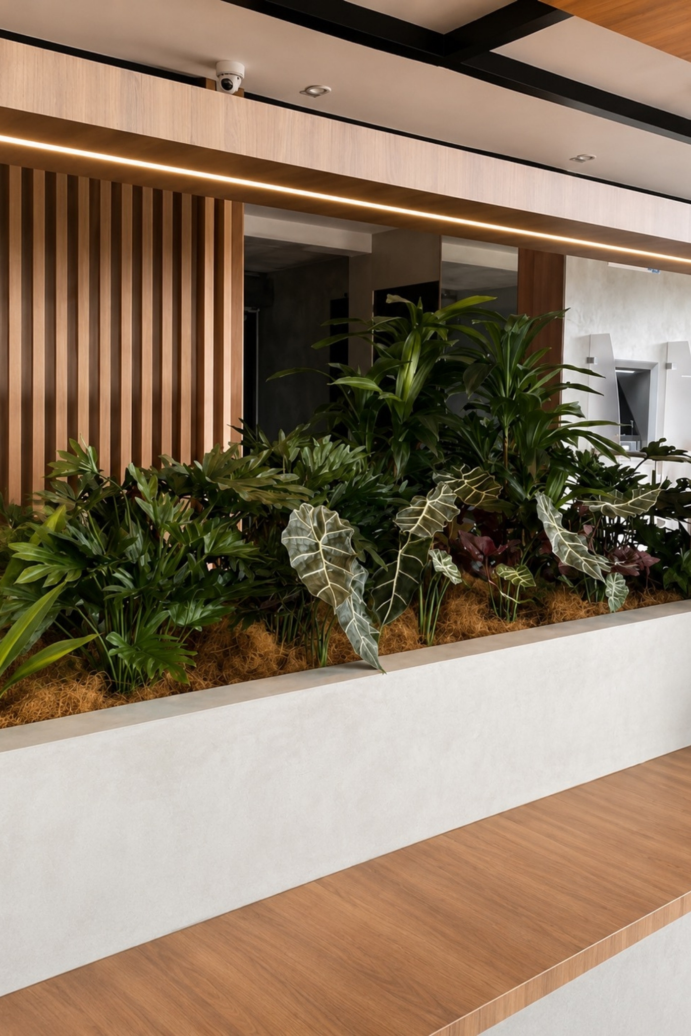 Jardinera larga con alocasias y follajes tropicales sobre musgo, junto a una banca de madera