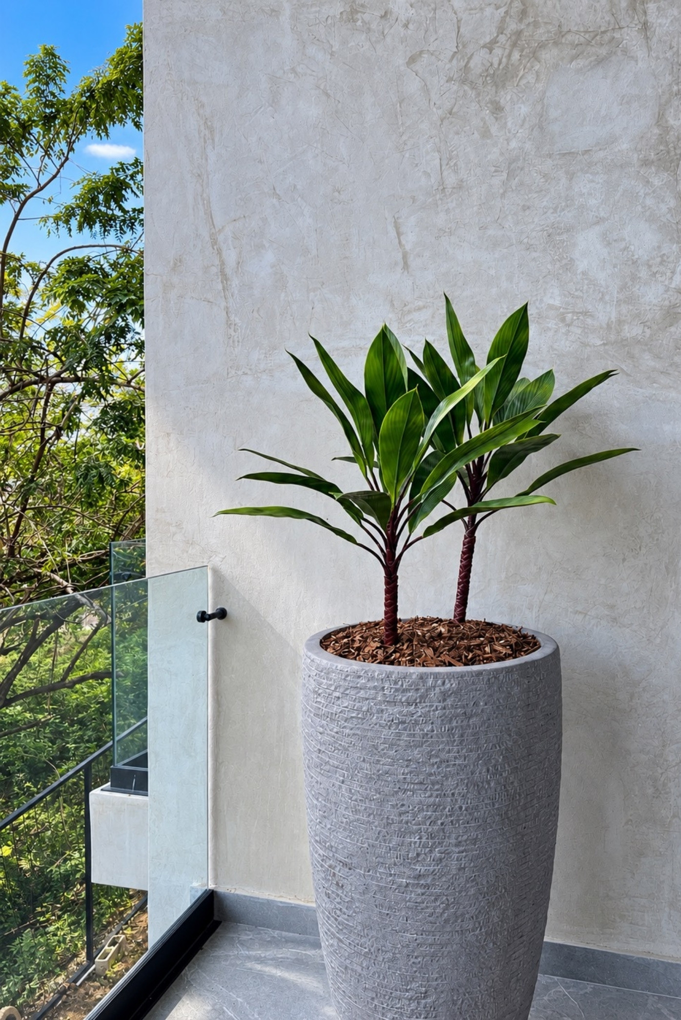 Dracena en un macetero alto gris texturizado en una terraza con baranda de vidrio
