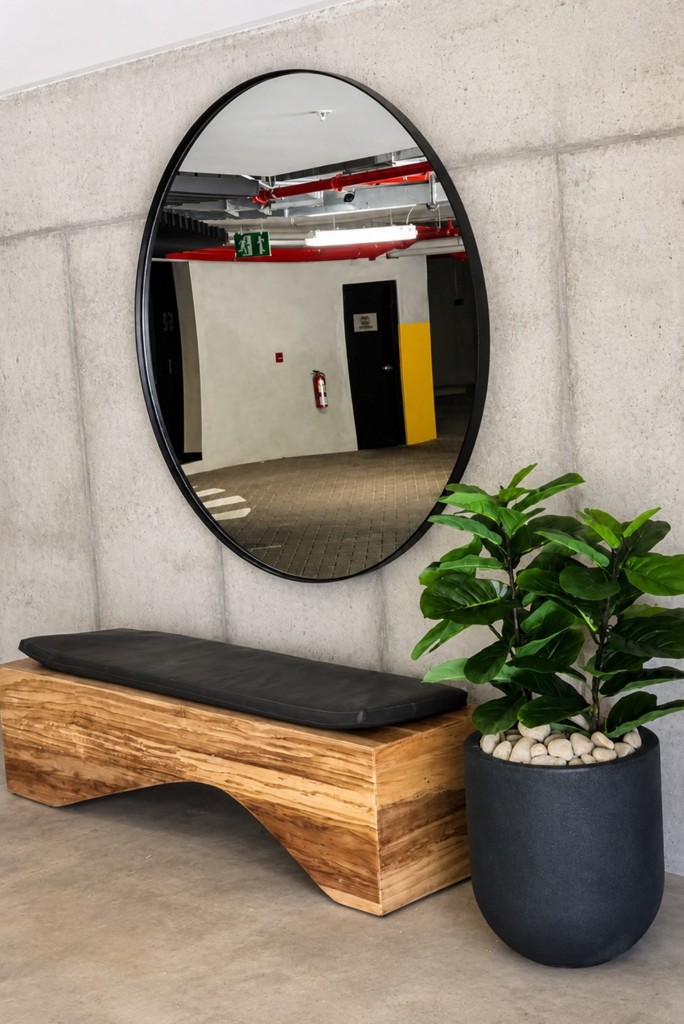 Ficus lira en macetero negro junto a una banca de madera y un espejo redondo en un vestíbulo